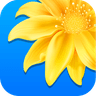 Gallery icon