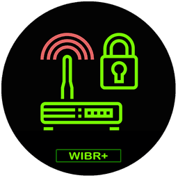 WIBR+ pro without root icon