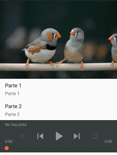 Canto Diamante Mandarin screenshot 3