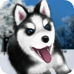 Talking Husky icon