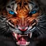 Natural Wonder: Animal Domin. icon