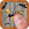 Ant Smasher icon