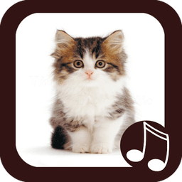 Cat Meow Real Sounds icon
