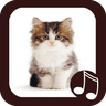 Cat Meow Real Sounds icon