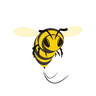 SpeedyBee icon