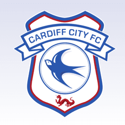 Cardiff City icon