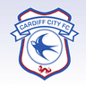 Cardiff City icon