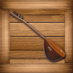 Baglama Pro icon