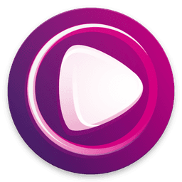 Wiseplay icon
