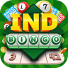 Ind Bingo icon