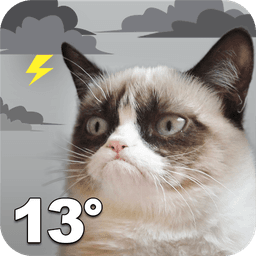 Grumpy Cat Weather icon