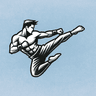 Ultimate MMA Fighting Program icon