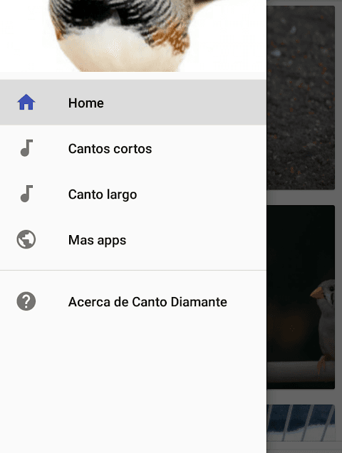 Canto Diamante Mandarin screenshot 1