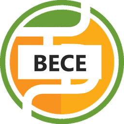 BECE TestDriller 2026 icon