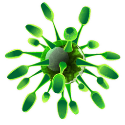 Viruses icon
