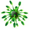 Viruses icon