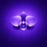 Gorgeous Orchids icon