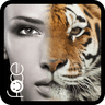 InstaFace :  face morphing icon