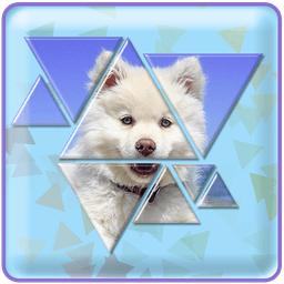 Triangle Puzzle Master icon