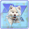 Triangle Puzzle Master icon