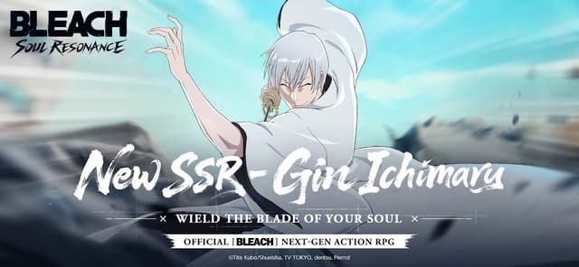 BLEACH: Soul Resonance screenshot 1