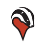 Badger Maps - Sales Routing icon
