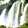 Waterfall Free Live Wallpaper icon
