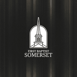 FBC Somerset icon