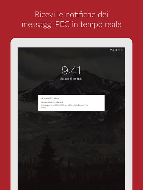 Aruba PEC screenshot 5