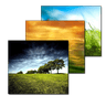 Wallpaper Changer icon