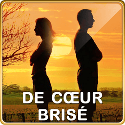 Citations de Cœur Brisé icon