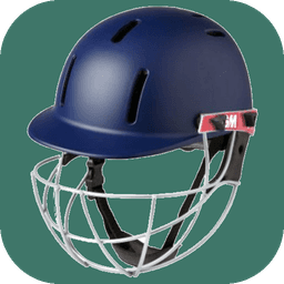 cricket training icon