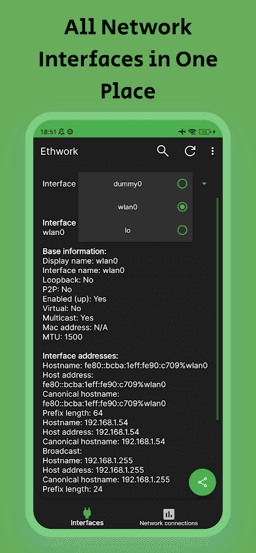 Ethwork: Netstat & Interfaces screenshot 1
