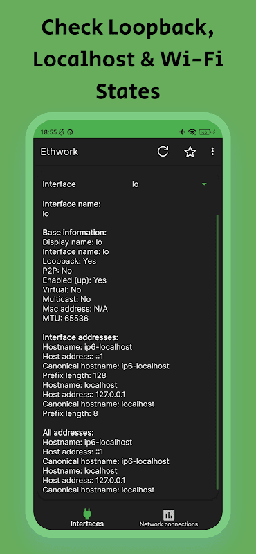 Ethwork: Netstat & Interfaces screenshot 4