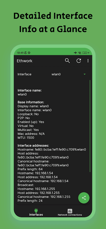 Ethwork: Netstat & Interfaces screenshot 2