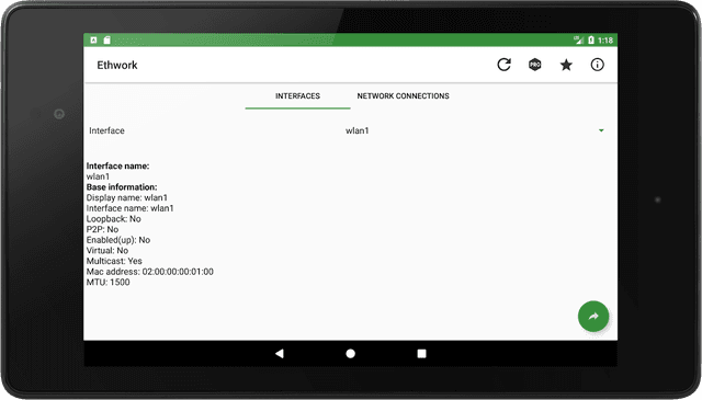Ethwork: Netstat & Interfaces screenshot 6