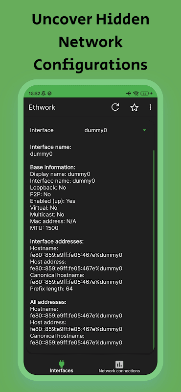Ethwork: Netstat & Interfaces screenshot 5