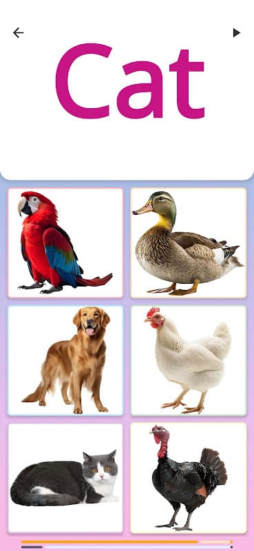 Children's Quiz screenshot 2
