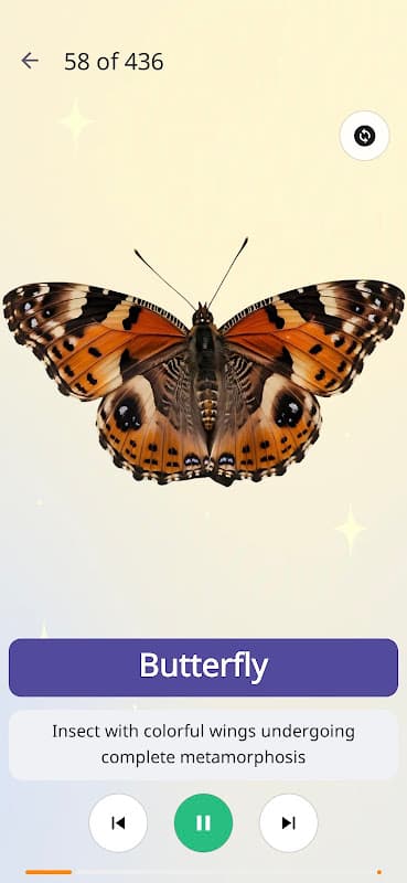 Children's Quiz screenshot 3