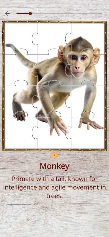 Children's Quiz screenshot 6