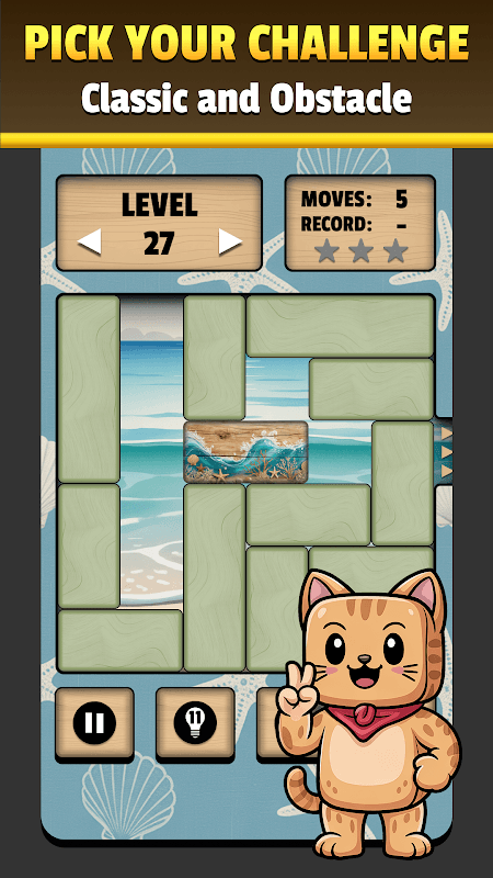 Unblock Therapy - Slide Puzzle screenshot 2